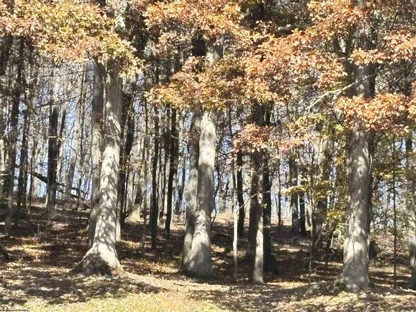 24.5 Acres of Recreational & Residential Land for Sale in Belington, West Virginia