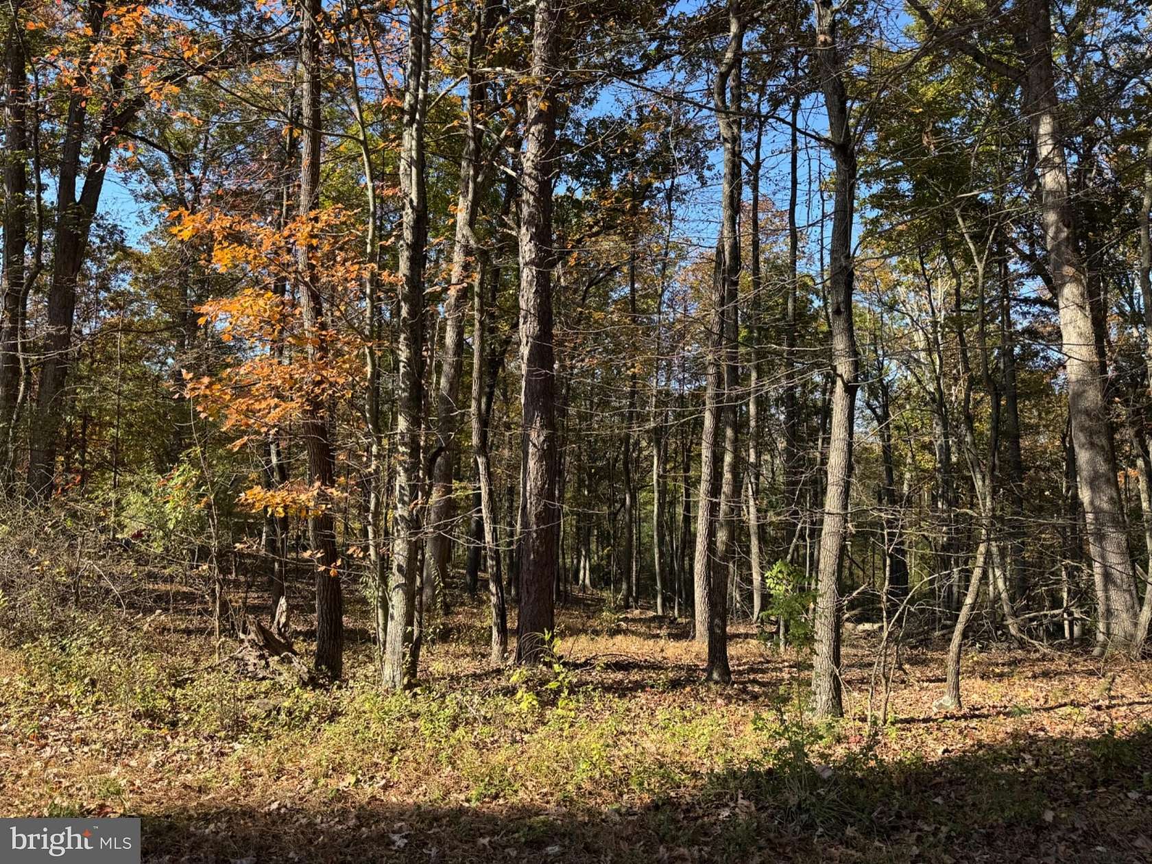 2.3 Acres of Land for Sale in Romney, West Virginia