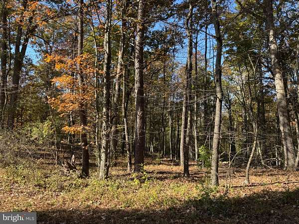 2.3 Acres of Land for Sale in Romney, West Virginia