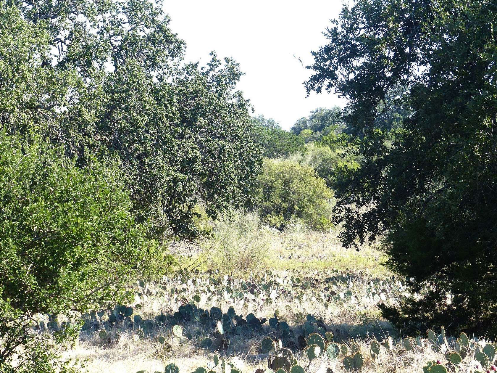 204 Acres of Land for Sale in Voca, Texas
