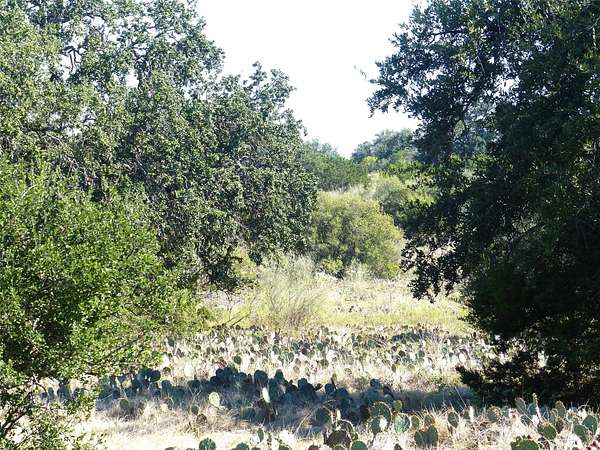 204 Acres of Land for Sale in Voca, Texas
