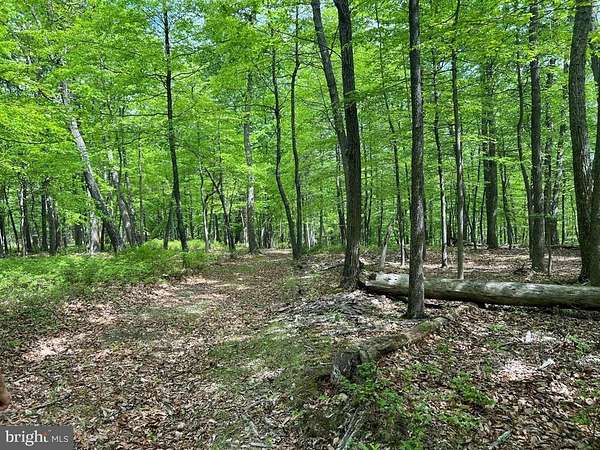 4.5 Acres of Residential Land for Sale in Augusta, West Virginia