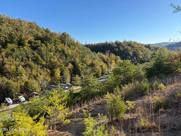 1 Acre of Residential Land for Sale in Tazewell, Tennessee