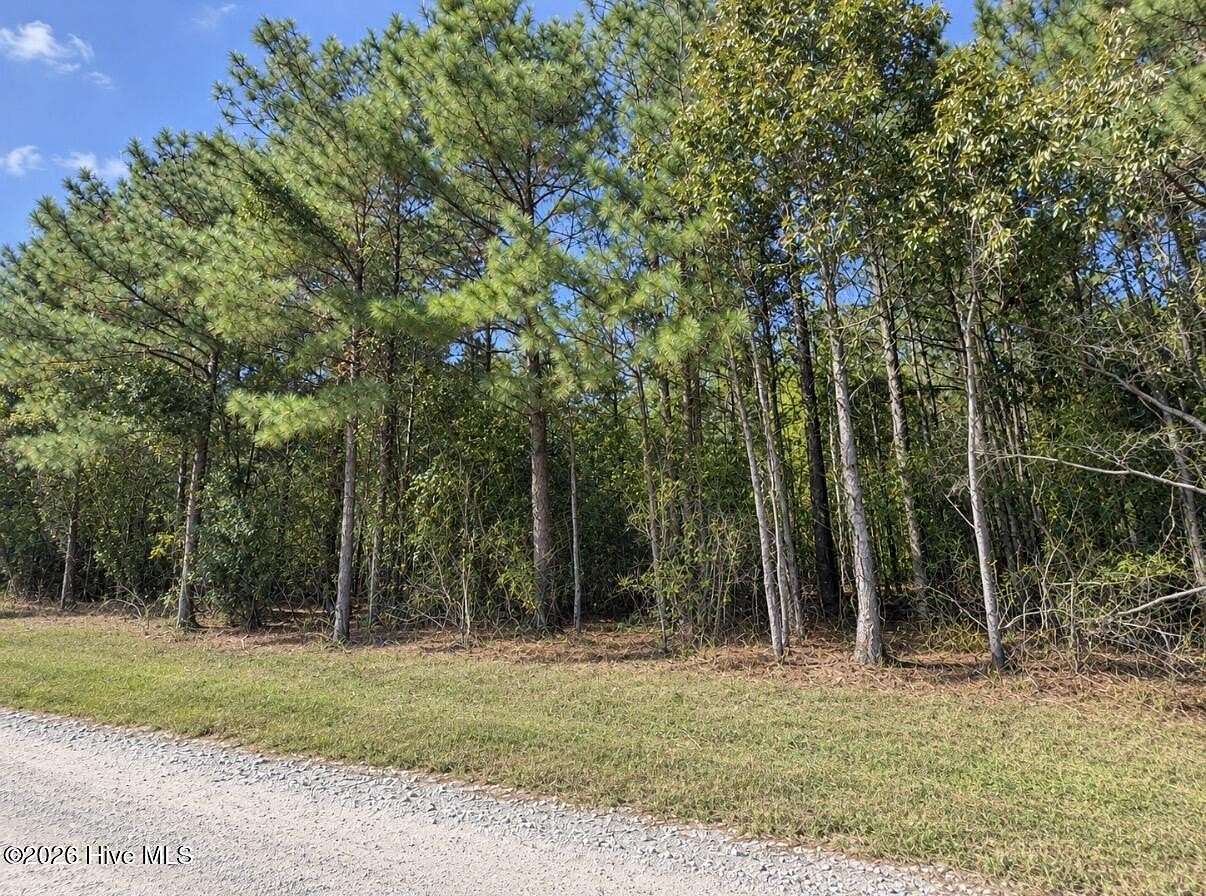 9.65 Acres of Residential Land for Sale in Scranton, North Carolina