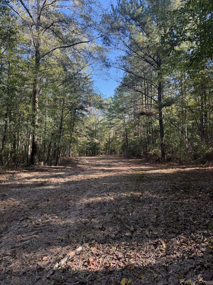 47.5 Acres of Recreational Land for Sale in Pondville, Alabama