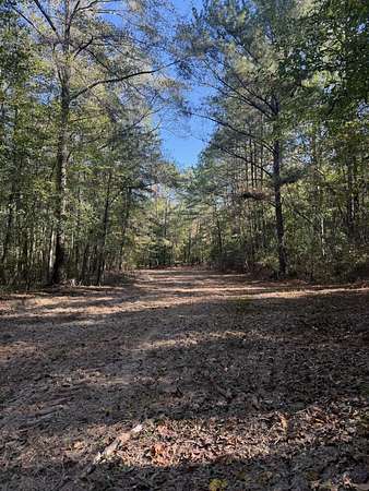47.5 Acres of Recreational Land for Sale in Pondville, Alabama