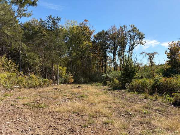64 Acres of Recreational & Residential Land for Sale in Macon, Mississippi