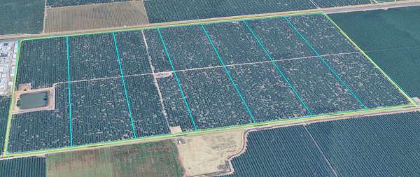 244 Acres of Land for Sale in Planada, California