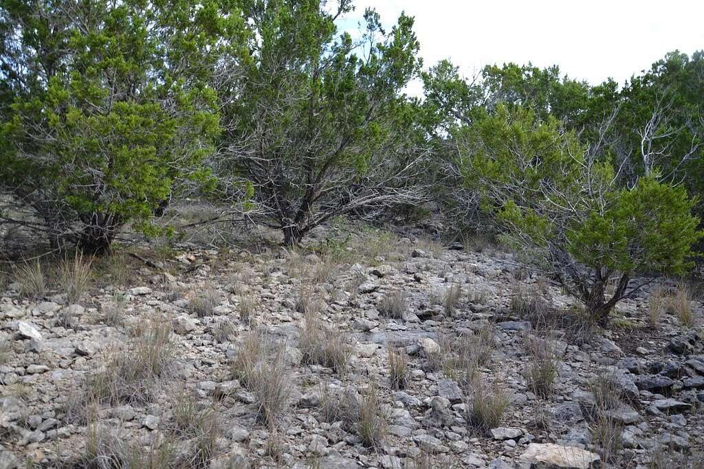 21.7 Acres of Recreational Land for Sale in Rocksprings, Texas