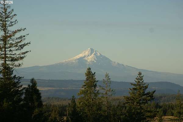 20 Acres of Recreational Land for Sale in Goldendale, Washington