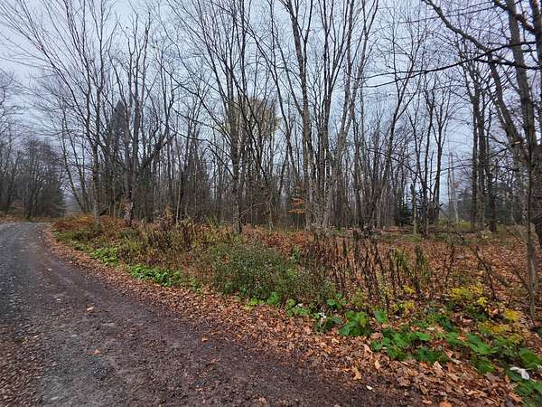 12.9 Acres of Recreational Land for Sale in Lowville, New York