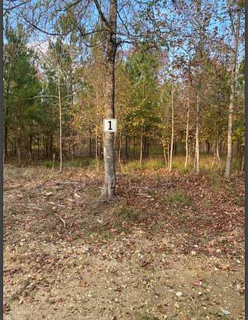 1.63 Acres of Land for Sale in Broken Bow, Oklahoma