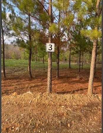 2 Acres of Land for Sale in Broken Bow, Oklahoma