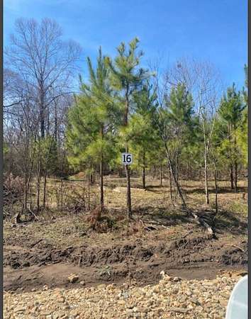 1 Acre of Land for Sale in Broken Bow, Oklahoma