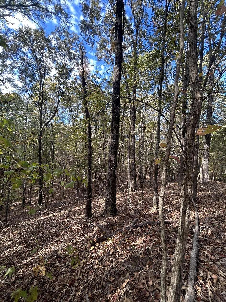 40 Acres of Recreational & Residential Land for Sale in Plantersville, Mississippi