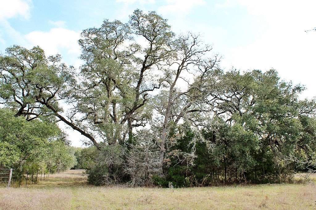 10.8 Acres of Recreational & Residential Land for Sale in Columbus, Texas