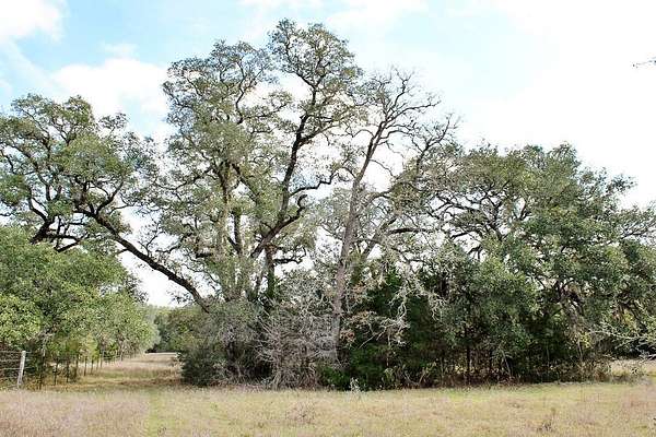 10.8 Acres of Recreational & Residential Land for Sale in Columbus, Texas