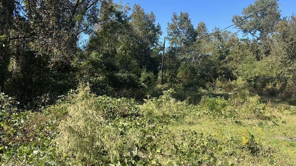 2 Acres of Residential Land for Sale in Ariton, Alabama