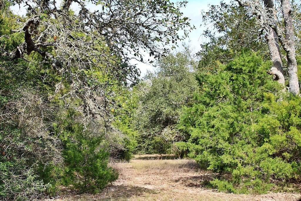 10.8 Acres of Recreational & Residential Land for Sale in Columbus, Texas