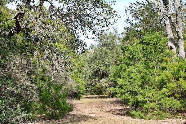 10.8 Acres of Recreational & Residential Land for Sale in Columbus, Texas