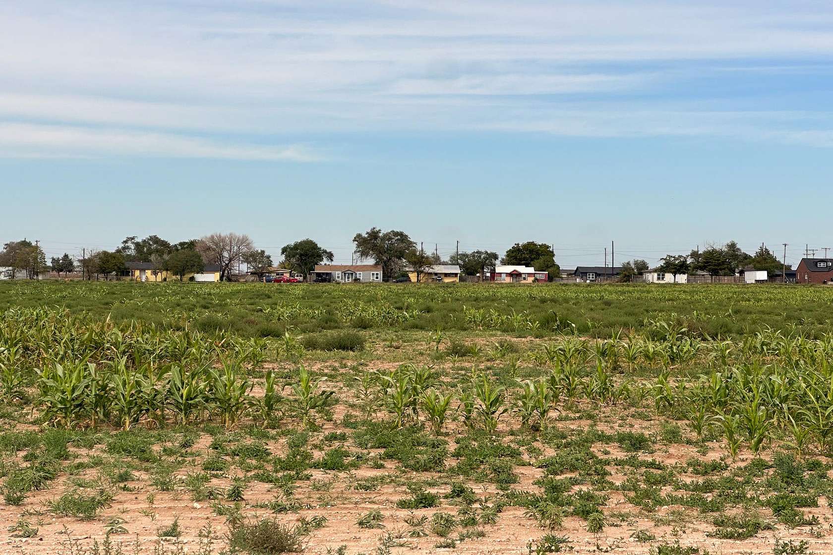38.7 Acres of Land for Sale in Lubbock, Texas