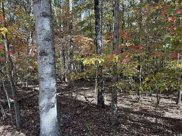 4 Acres of Residential Land for Sale in Monterey, Tennessee