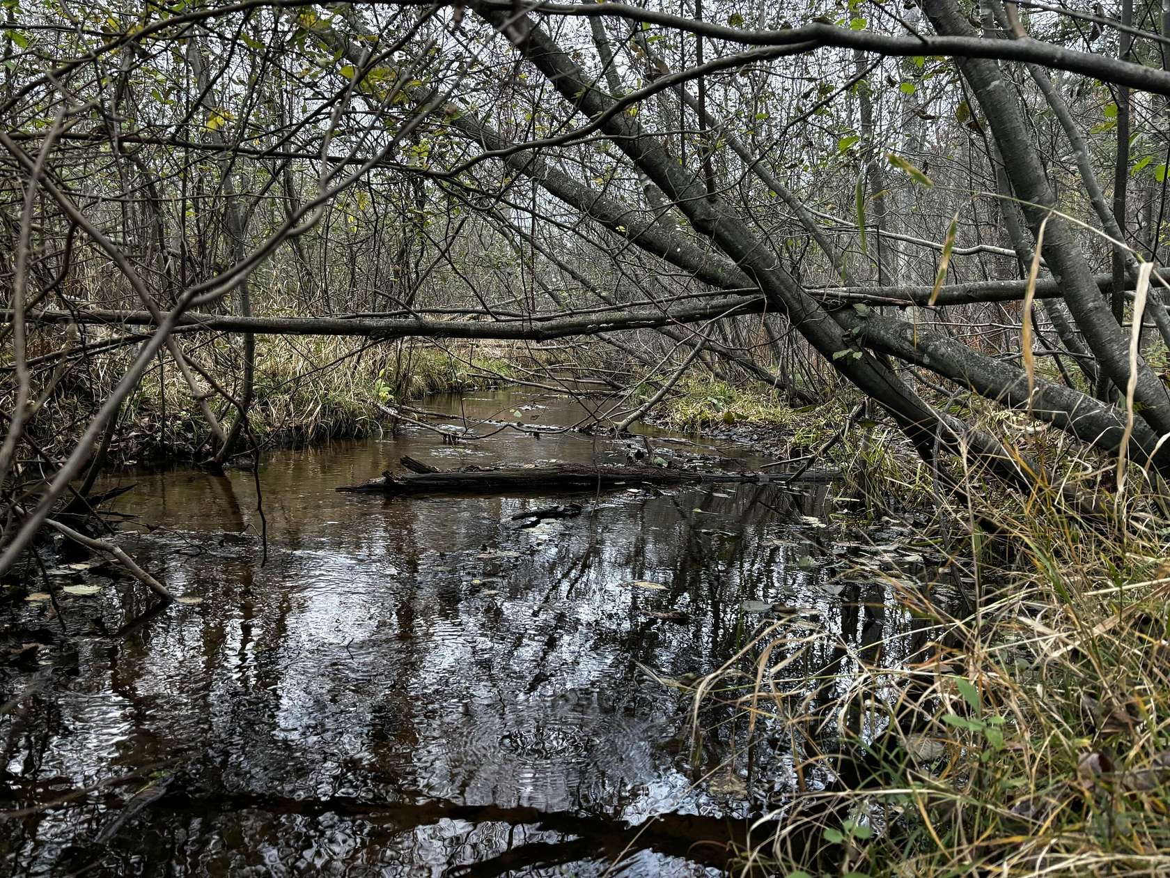 8.8 Acres of Residential Land for Sale in Fruitport, Michigan