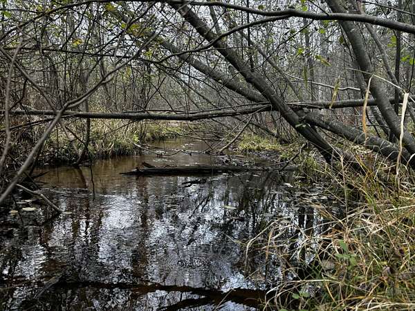 8.8 Acres of Residential Land for Sale in Fruitport, Michigan
