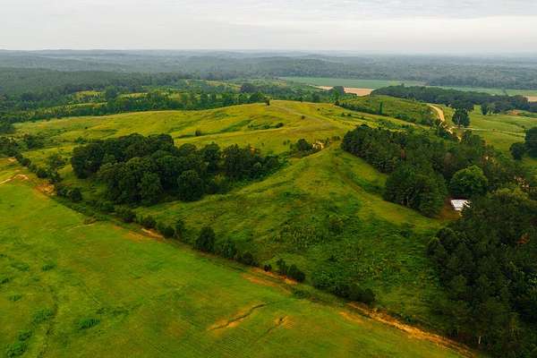 320 Acres of Land for Sale in Big Creek, Mississippi