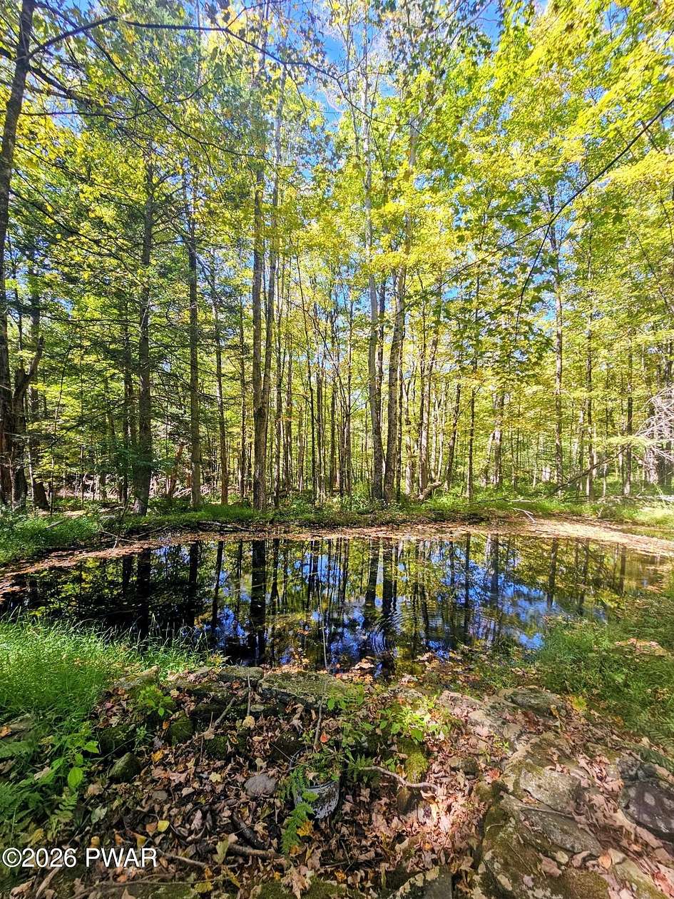 5 Acres of Residential Land for Sale in Newfoundland, Pennsylvania