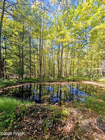 5 Acres of Residential Land for Sale in Newfoundland, Pennsylvania