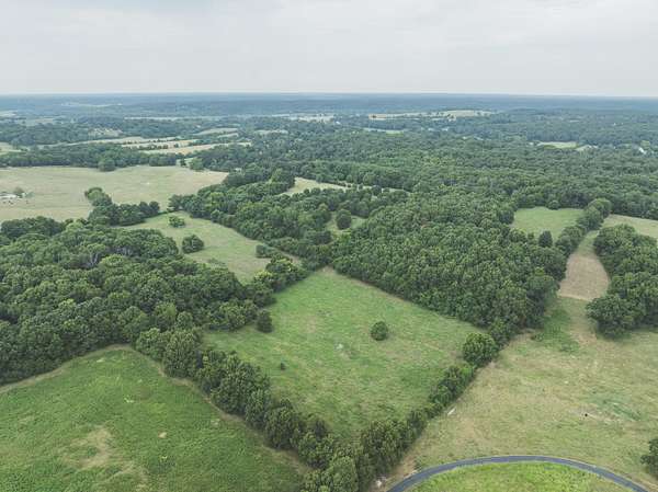 40 Acres of Agricultural & Residential Land for Sale in Neosho, Missouri