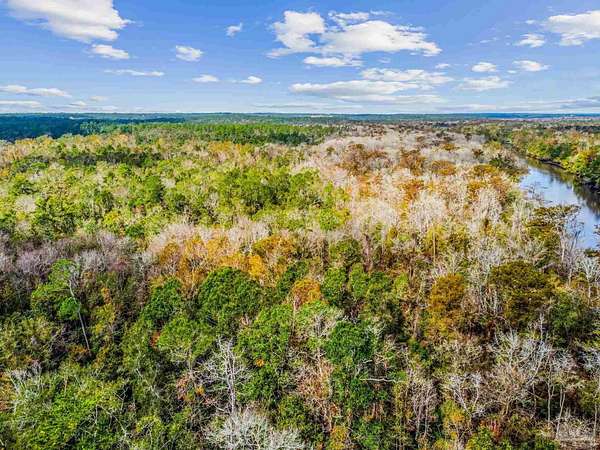 50.5 Acres of Land for Sale in Molino, Florida