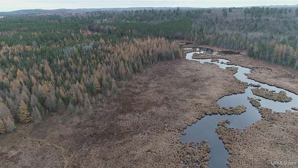 40 Acres of Recreational Land for Sale in Ishpeming, Michigan
