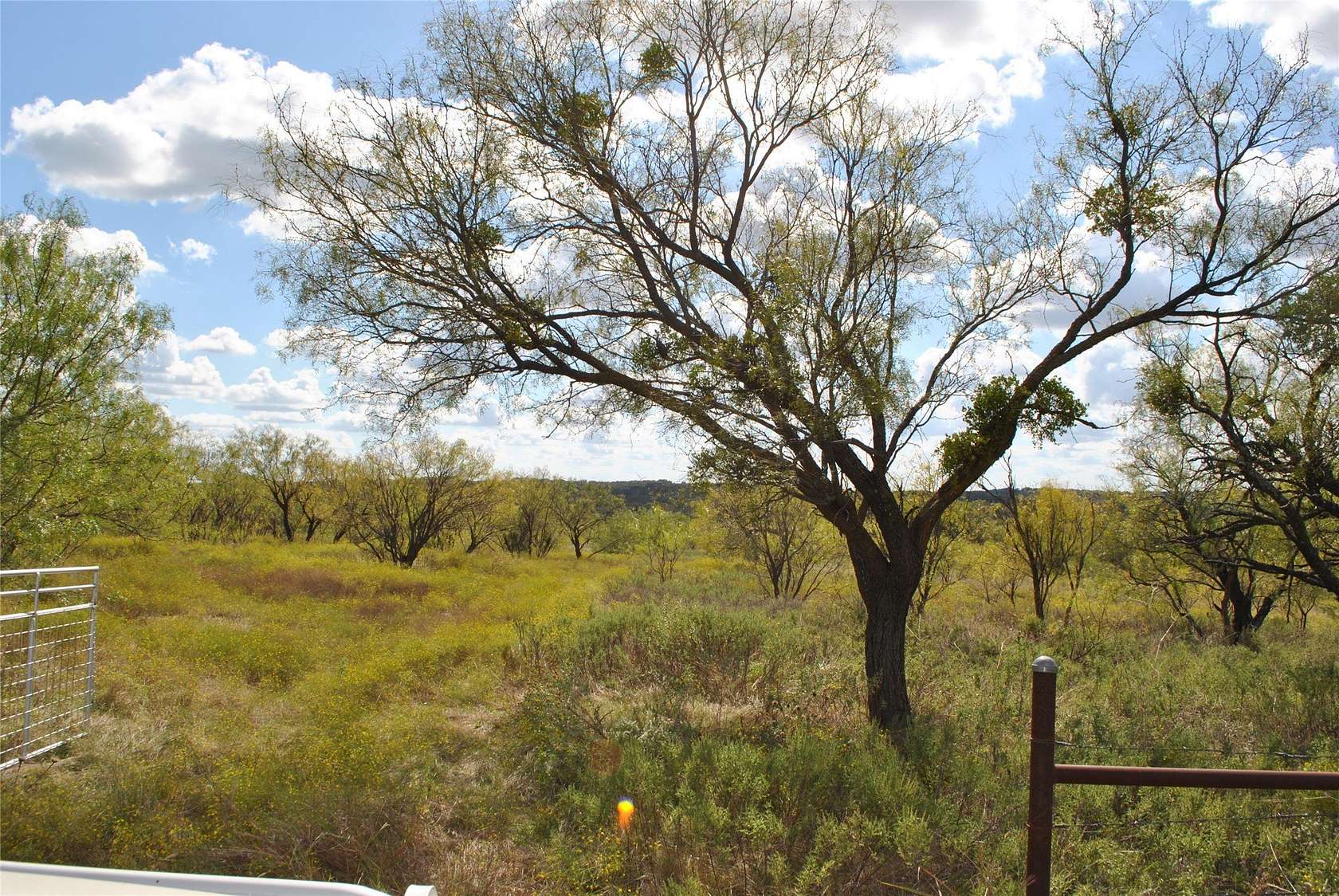 50 Acres of Land for Sale in Comanche, Texas