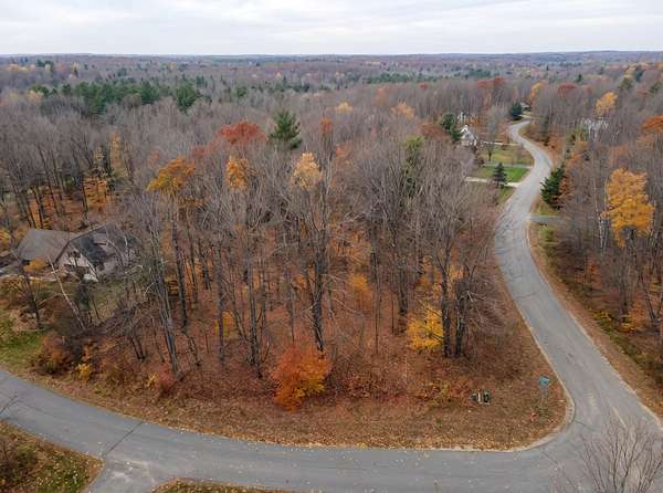 Residential Land for Sale in Elmira, Michigan