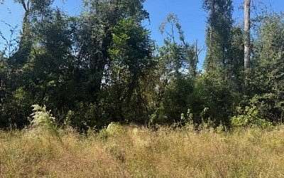0.55 Acres of Land for Sale in Dowling Park, Florida