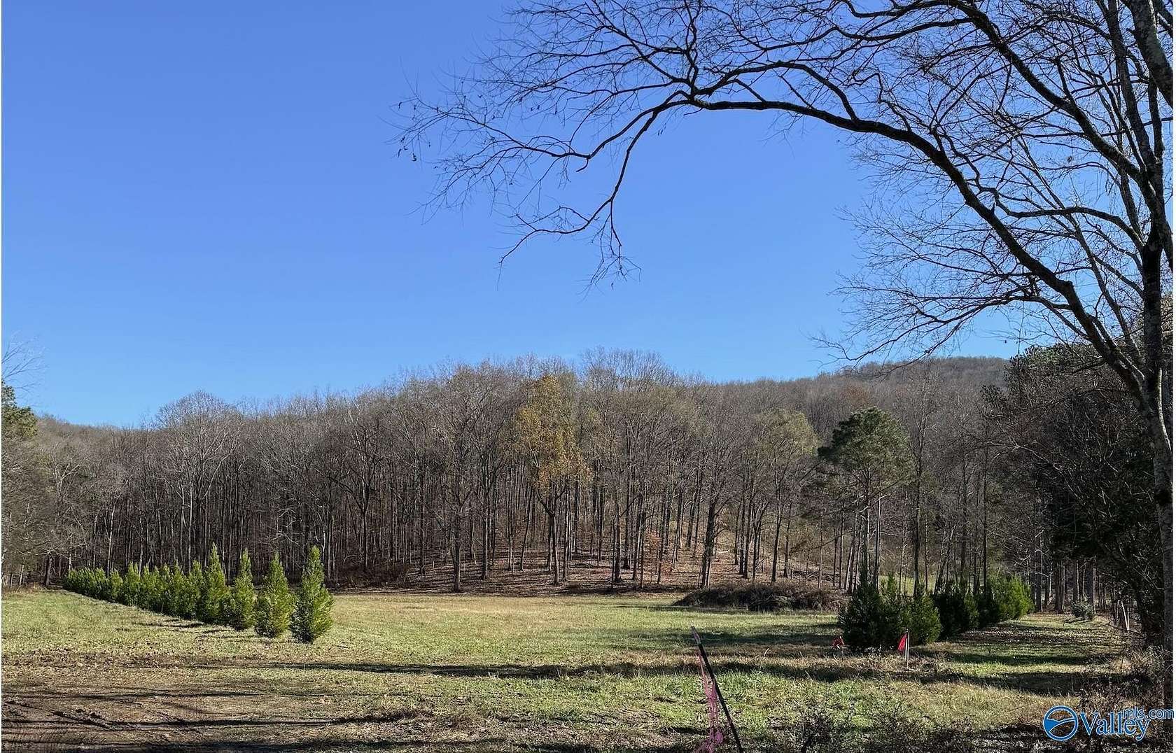 8.9 Acres of Residential Land for Sale in Brownsboro, Alabama