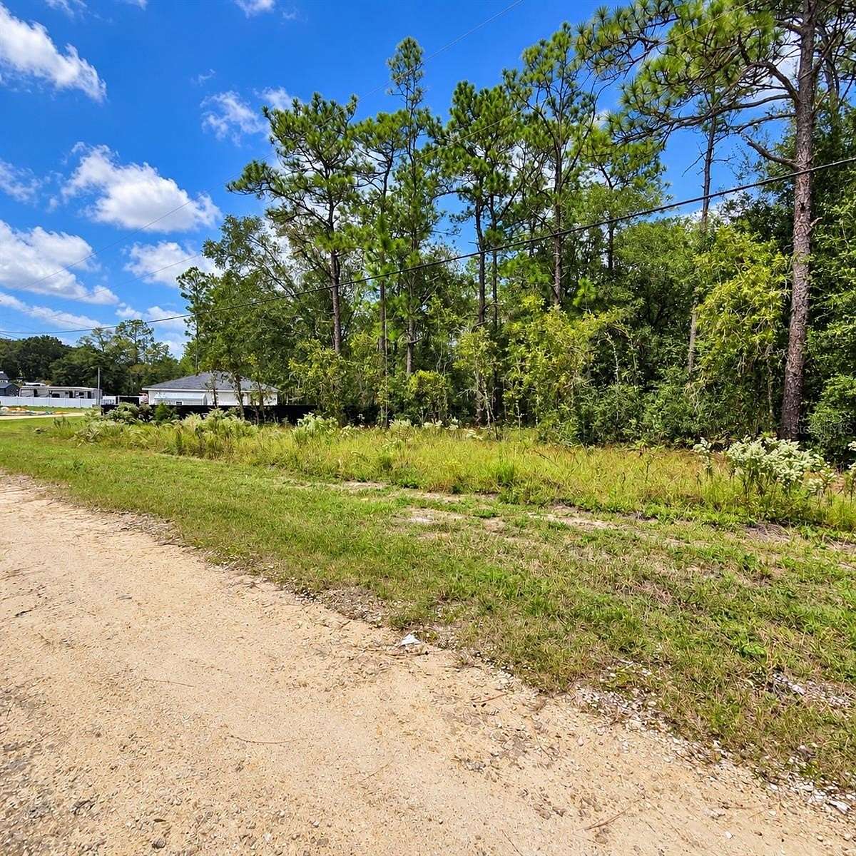 0.25 Acres of Residential Land for Sale in Ocala, Florida