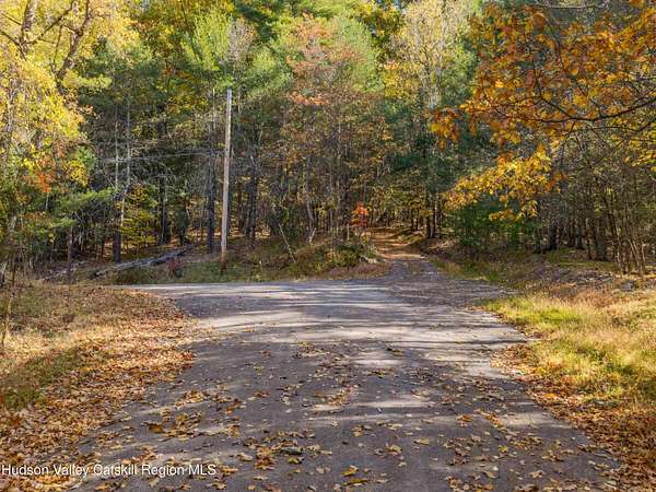 35.9 Acres of Recreational & Residential Land for Sale in Mount Tremper, New York