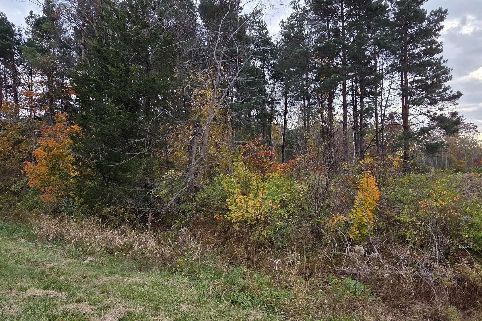 1 Acre of Land for Sale in Benton Harbor, Michigan
