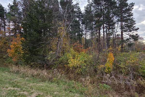 1 Acre of Land for Sale in Benton Harbor, Michigan