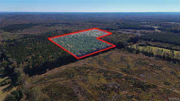 121 Acres of Recreational Land for Sale in Northport, Alabama