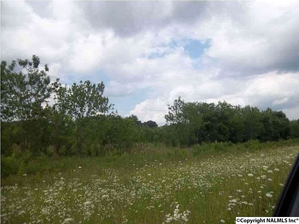 1 Acre of Land for Sale in Moulton, Alabama