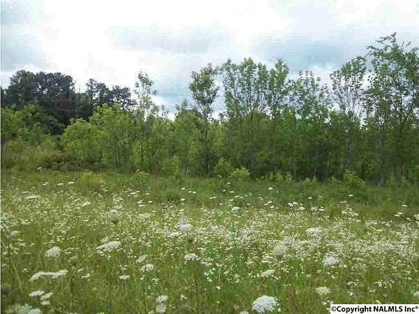 14 Acres of Land for Sale in Trinity, Alabama
