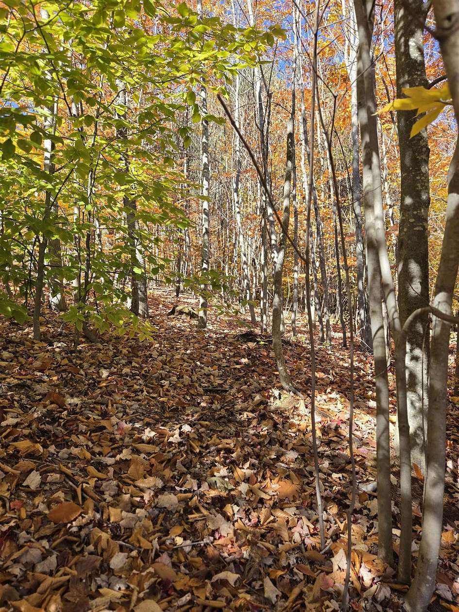 2.5 Acres of Residential Land for Sale in Ashland, New Hampshire