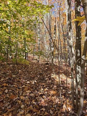 2.5 Acres of Residential Land for Sale in Ashland, New Hampshire