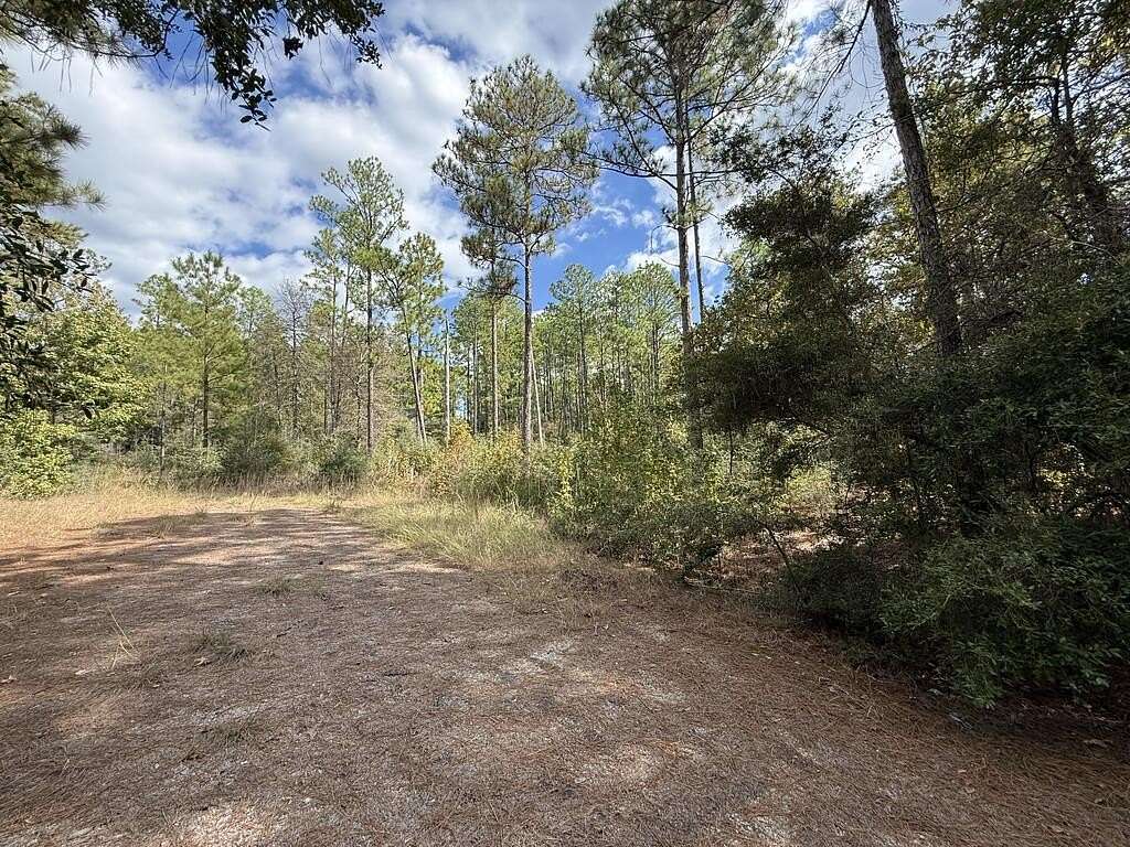 0.46 Acres of Residential Land for Sale in Brookeland, Texas