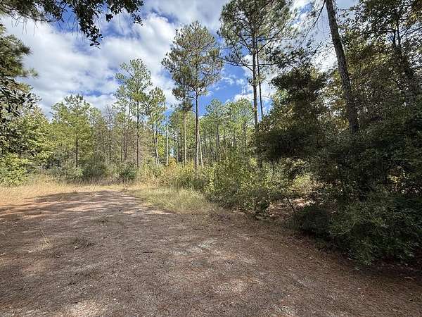 0.46 Acres of Residential Land for Sale in Brookeland, Texas