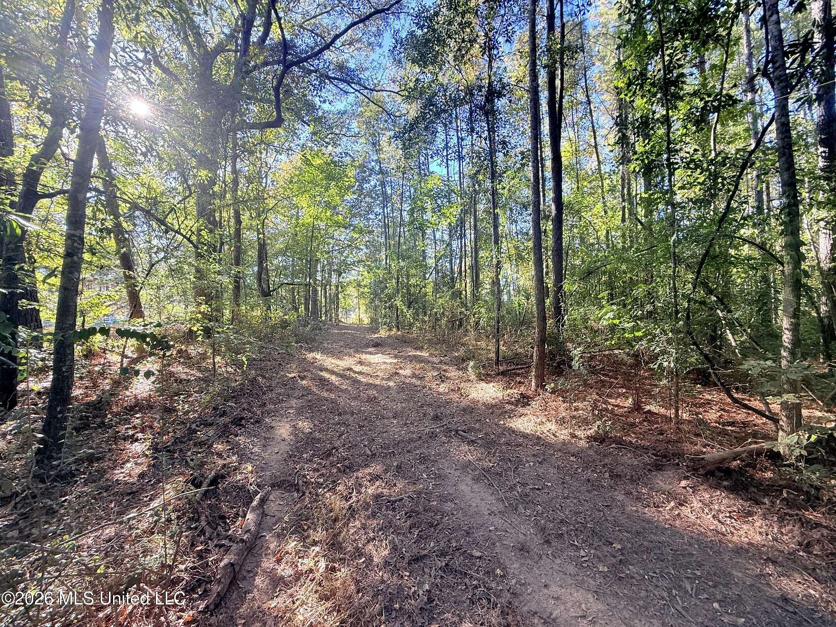 2.5 Acres of Residential Land for Sale in Bogue Chitto, Mississippi
